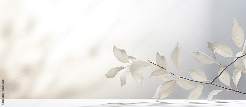 Fototapete The image is an abstract concept of nature with a blurred background featuring a dappled light effect and a gray shadow of leaves on a white wall It can be used as a copy space image 175 characters