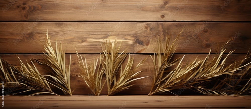 Fototapete on the boards there are brown sprigs of willow creating a holiday atmosphere reminiscent of palm sun