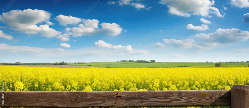 Aufkleber agricultural landscape featuring a bright rapeseed field with a wooden pillar from an old fence set 