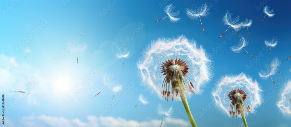 Aufkleber a dream of liberty embodied in an extravagant dandelion its seeds gracefully dispersing through the 