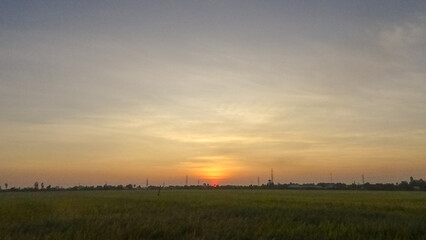 The sun sets over the rice field. Location place delta Kien Giang, Viet Nam.  Magical sunset.