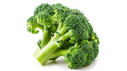 Fresh green broccoli floret standing alone against a clean white background, bursting with flavor and nutrition.