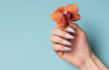 Female hands with blue nail design on blue pastel background