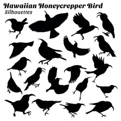 Set of Hawaiian honeycreeper bird silhouettes  