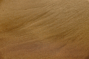 drained sand