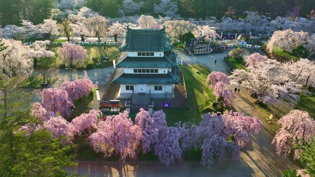 Japanese samurai castle with cherry blossom, drone view of Japanese castle in springtime, aerial view of Hirosaki castle in Japan