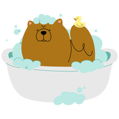 Pet Grooming single 12 cute on a white background, vector illustration.