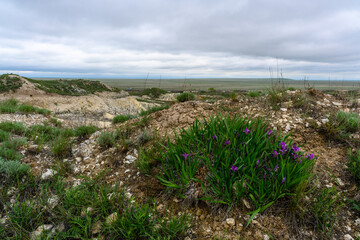 Landscape with chalk rocks in the steppes of Kazakhstan.