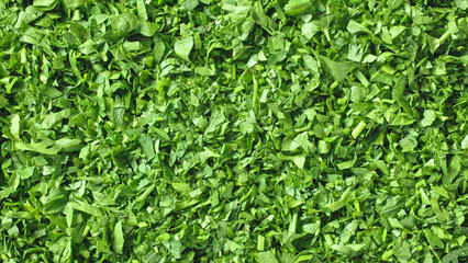 fresh green chopped parsley background