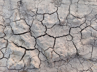 cracked earth texture