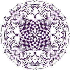 Fototapeta premium Beautiful mandala art, vector mandala design