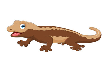 Cute crested gecko cartoon on white background