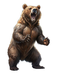 Fototapeta premium agressive grizzly bear standing sitting looking camera paws raised brown transparent backgrounds