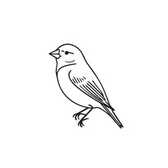 Finch in cartoon, doodle style. Image for t-shirt, web, mobile apps and ui. Isolated 2d vector illustration in logo, icon, sketch style, Eps 10. AI Generative