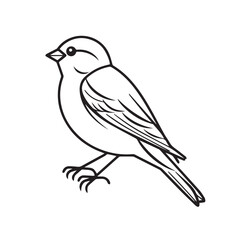 Finch in cartoon, doodle style. Image for t-shirt, web, mobile apps and ui. Isolated 2d vector illustration in logo, icon, sketch style, Eps 10. AI Generative