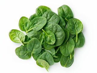 Fototapeta premium An isolated white backdrop showcases vibrant green spinach leaves in a direct above view