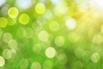 Fototapeta premium Green nature Blurred background. Abstract blur of Green nature, bokeh defocused and blur background.