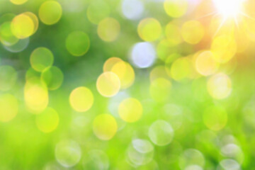 Fototapeta premium Green nature Blurred background. Abstract blur of Green nature, bokeh defocused and blur background.