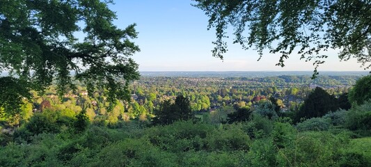 Landscape in Surrey