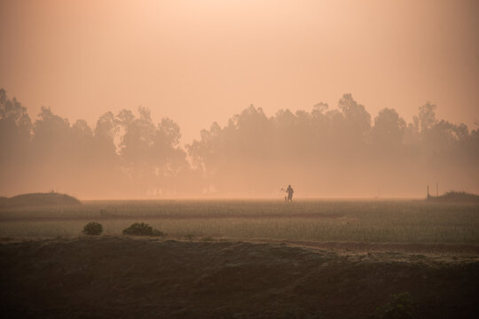 sunrise on the fild