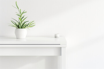 Fototapeta premium A plant on a table