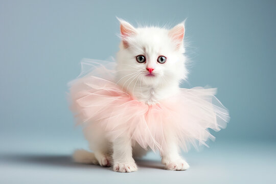 A white cat with a pink tutu seated on a blue surface
