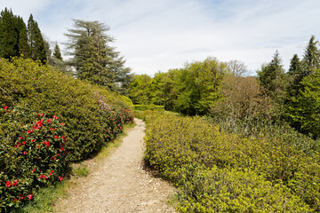 Chemin dans le jardin botanique