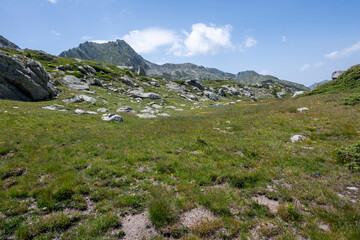 Fototapeta premium Landscape of Rila Mountain near Kalin peak, Bulgaria