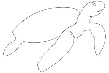 Obraz premium Continuous one line art drawing of sea turtle concept of outline vector minimalist illustration 