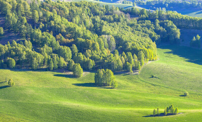 Green meadows and forests. spring, evening light, hilly countryside