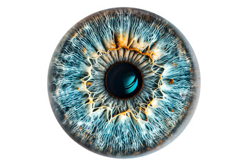 Close-up of Blue Human Eye Iris