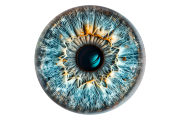 Close-up of Blue Human Eye Iris