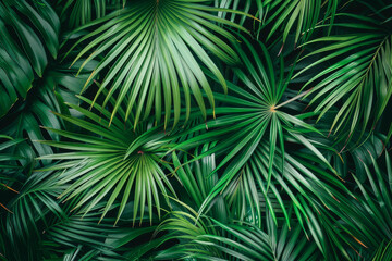 Lush Green Tropical Palm Leaves Background with Dense Foliage Texture