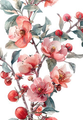 pomegranate flowers and fruit