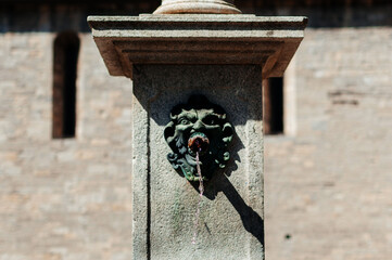 decorative fountain with lion head spout