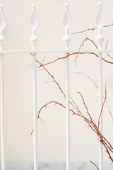 white fence with bare thorny branches