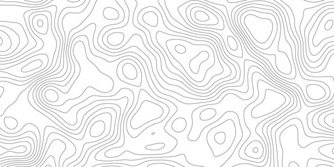 Fluid terrain mapping lines rendered in modern abstract visual texture

