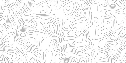 Fluid terrain mapping lines rendered in modern abstract visual texture

