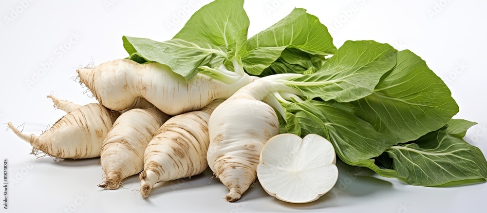Aufkleber White background with Taro creating copy space image
