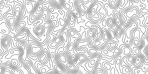 Fototapeta premium Natural topographic simulation with abstract artistic line elements