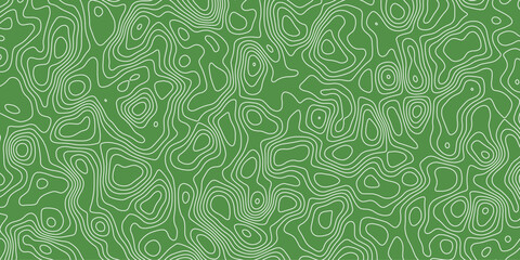 Artistic digital texture of topographic lines and natural flowing shapes

