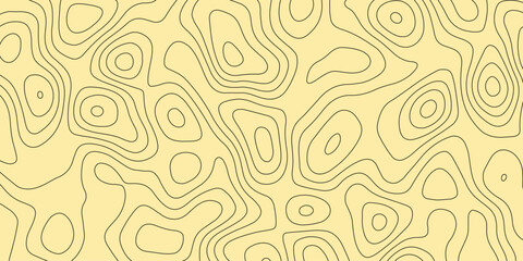 Artistic representation of terrain with topographic abstract line details

