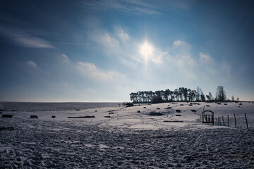 Obraz premium Scenic winter landscape of countryside with trees covered in snow in Lasne, Belgium