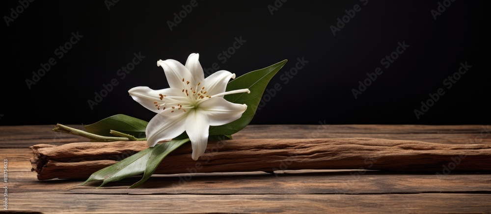 Aufkleber A stunning vanilla blossom and stick placed on a rustic wooden backdrop with ample copy space image