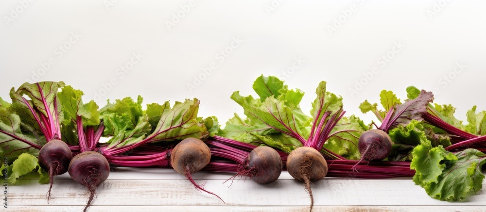 Poster Beetroot plants arranged on a white wooden table with ample empty space around them for a copy space image