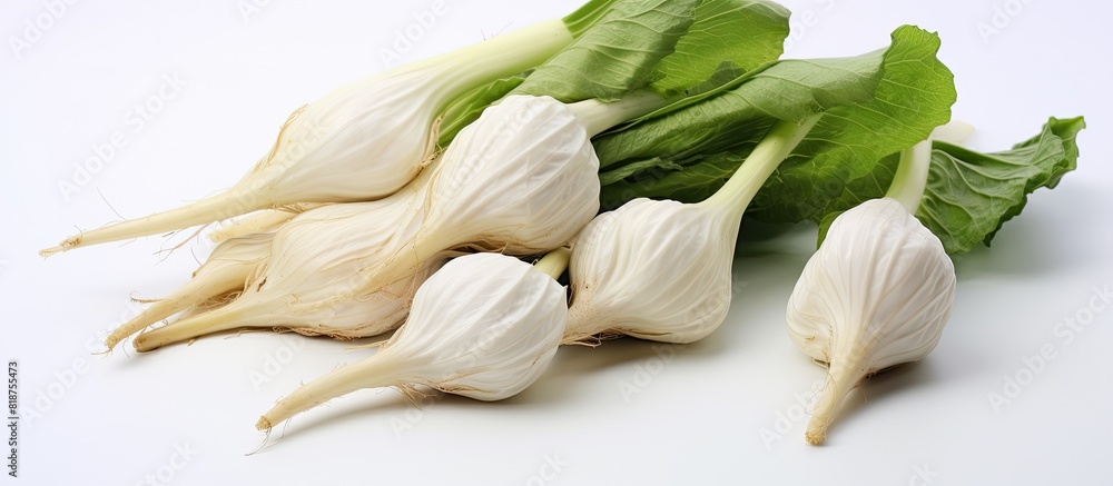 Aufkleber White background with Taro creating copy space image