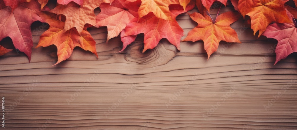 Aufkleber autumn maple leaves backdrop with an empty frame for customization perfect for fall themed mockup pu