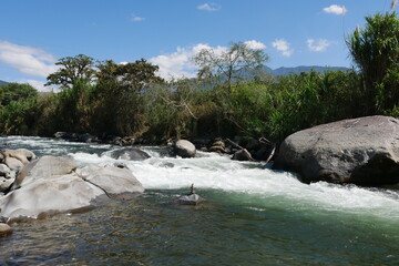 Stromschnelle im Rio Orosi in Costa Rica