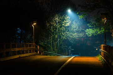 streetlamp illuminating bridge at night