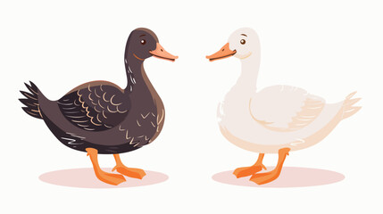 Adorable goose and duck isolated on white background.